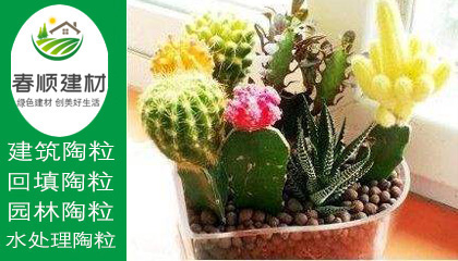江西陶粒廠，陶粒生產(chǎn)廠家，陶粒批發(fā)，回填陶粒，景觀陶粒